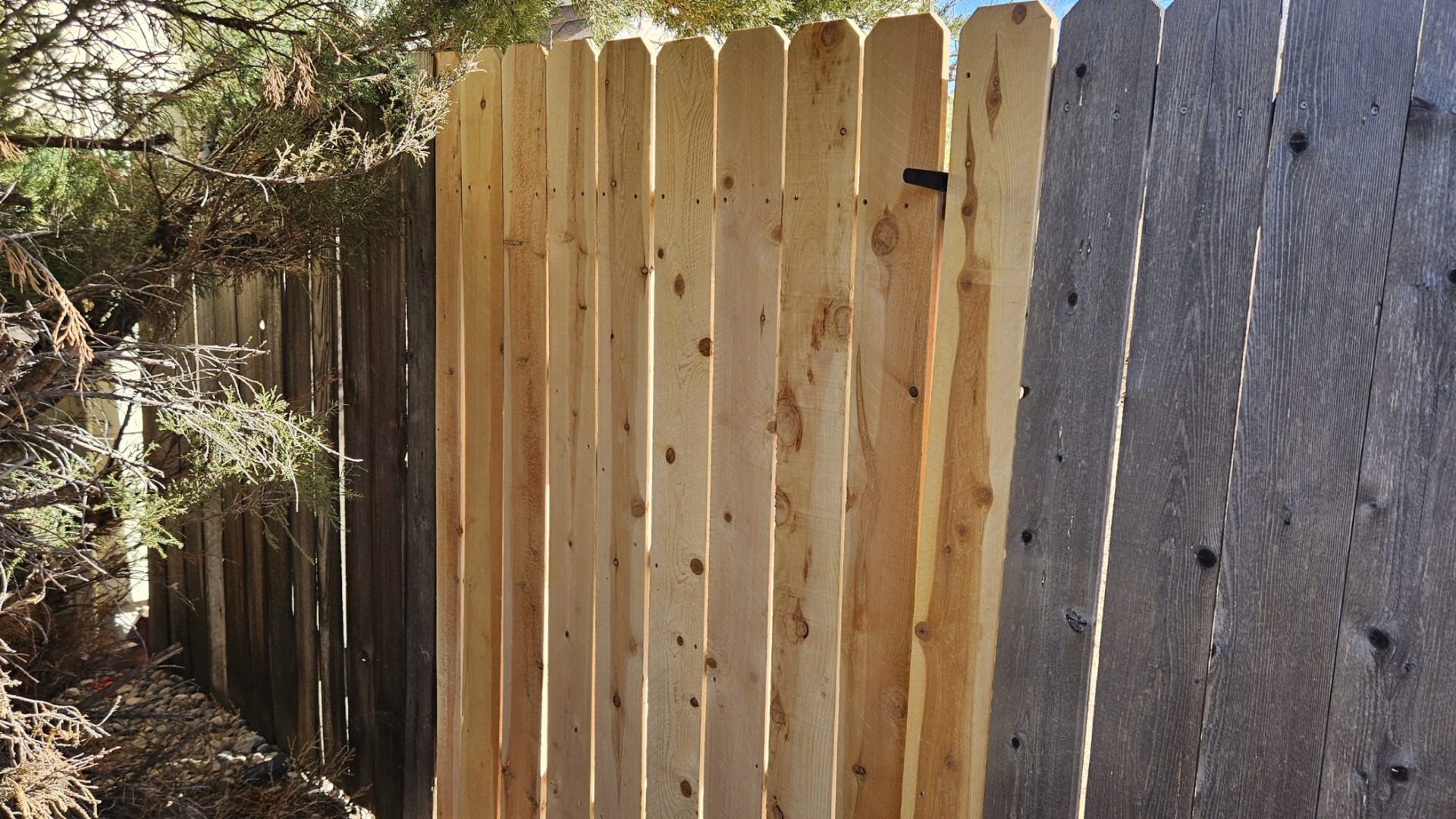 Fencing_After_7