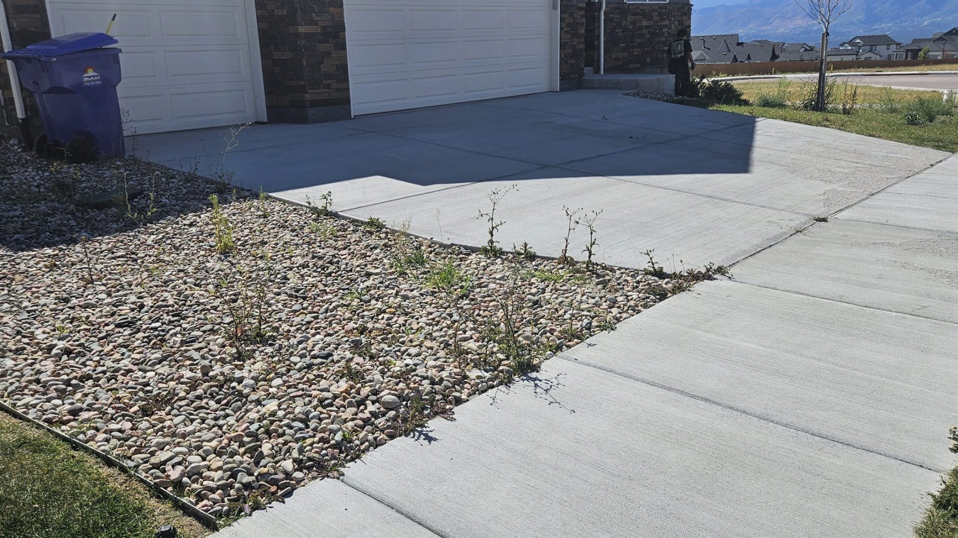 Path_Cleanup_Before_5