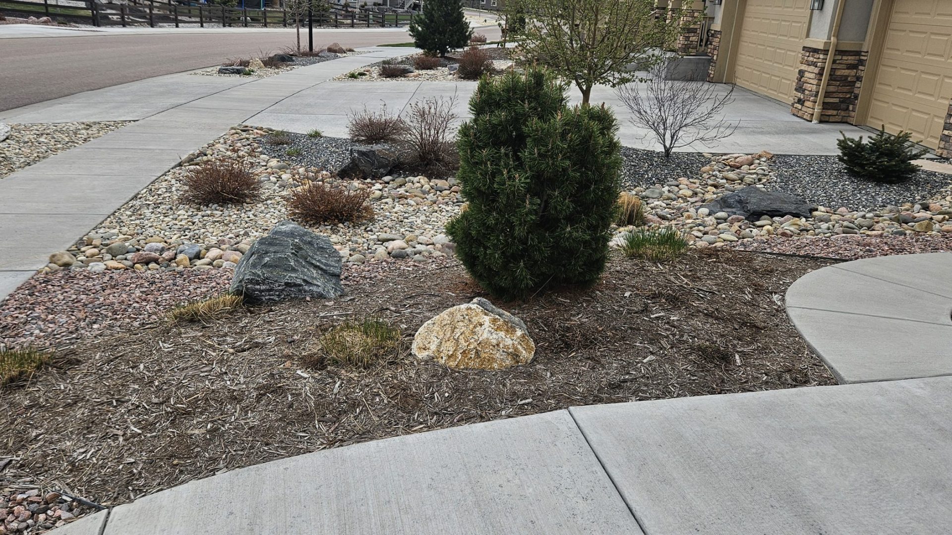 Xeriscaping_After_7