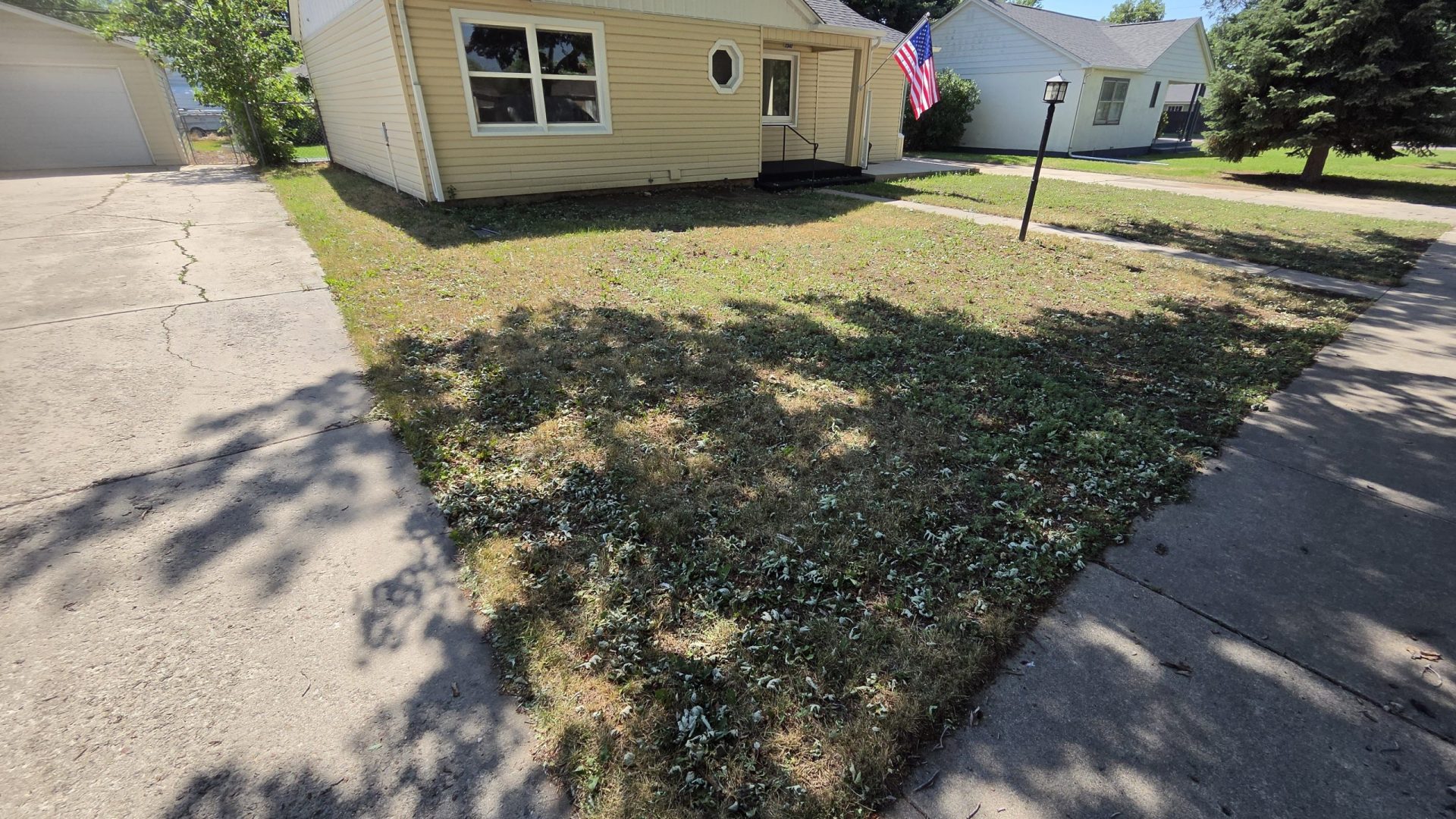 Xeriscaping_Before_12