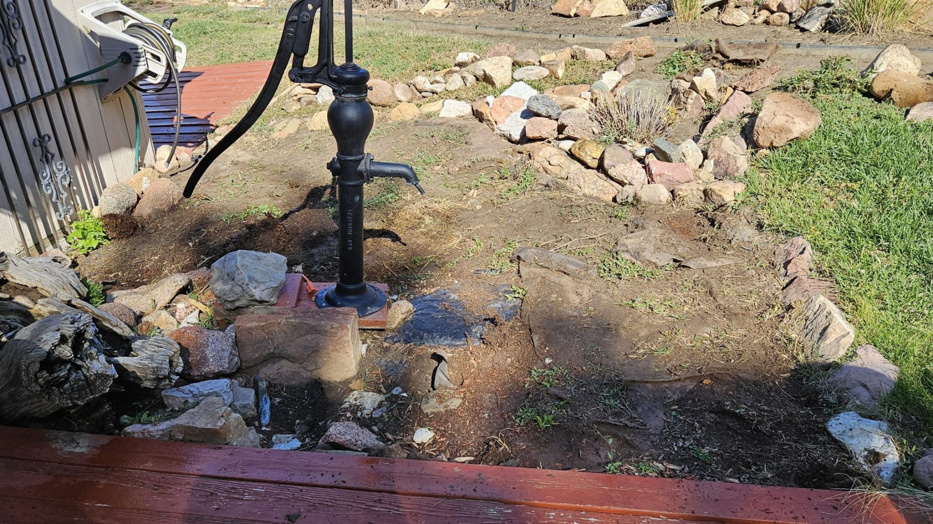 Xeriscaping_Before_4