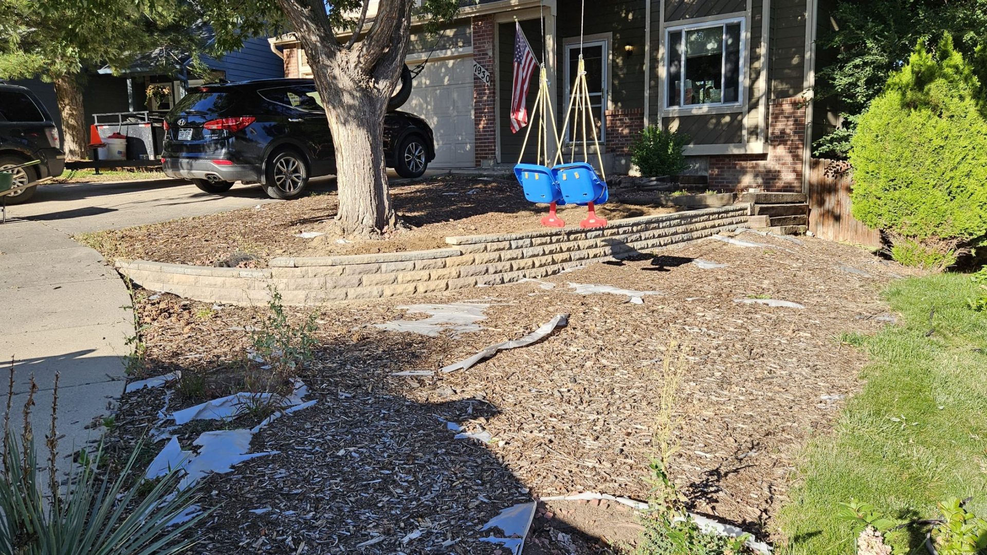 Xeriscaping_Before_5