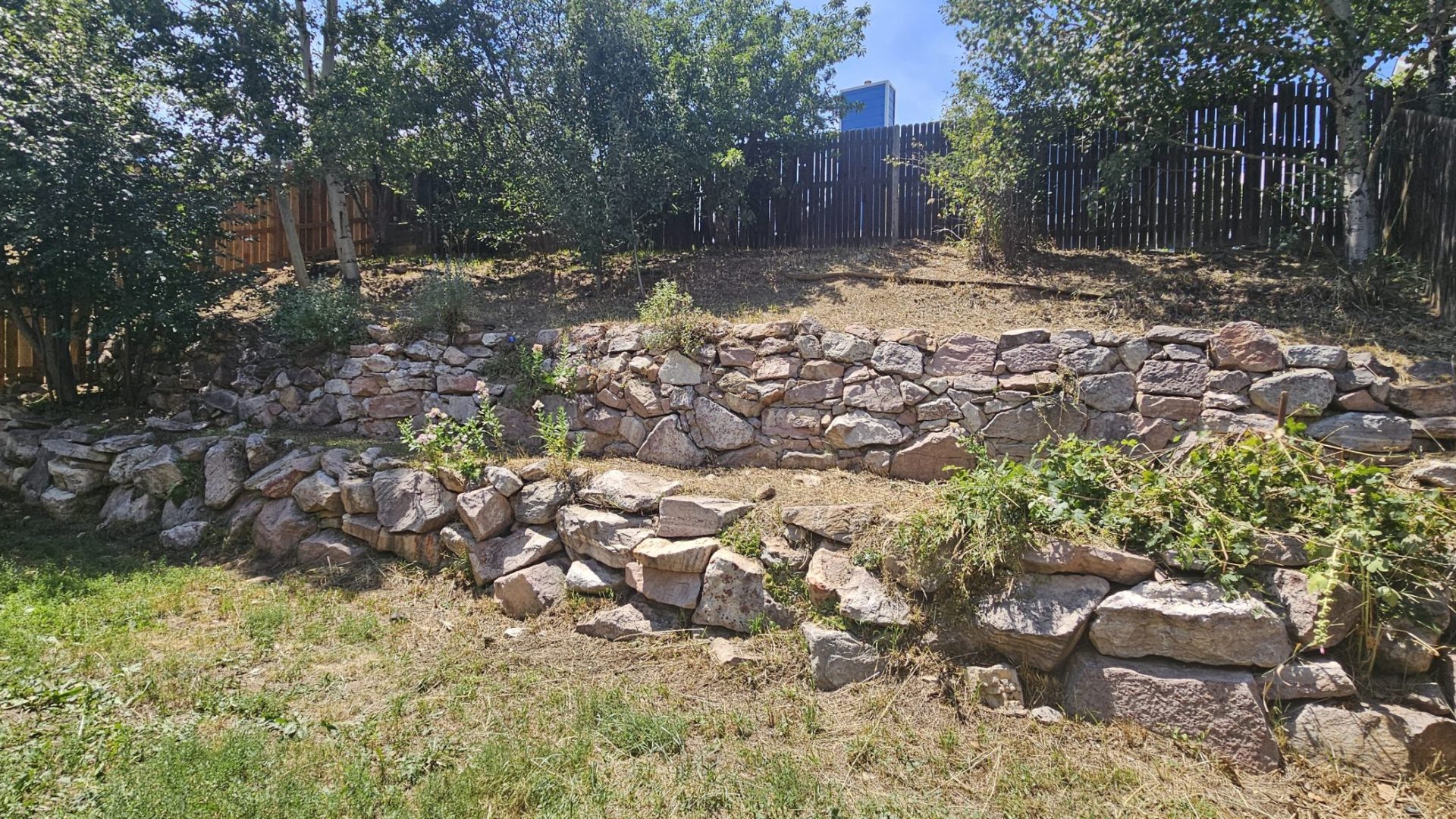 Yard_Cleanup_After_3