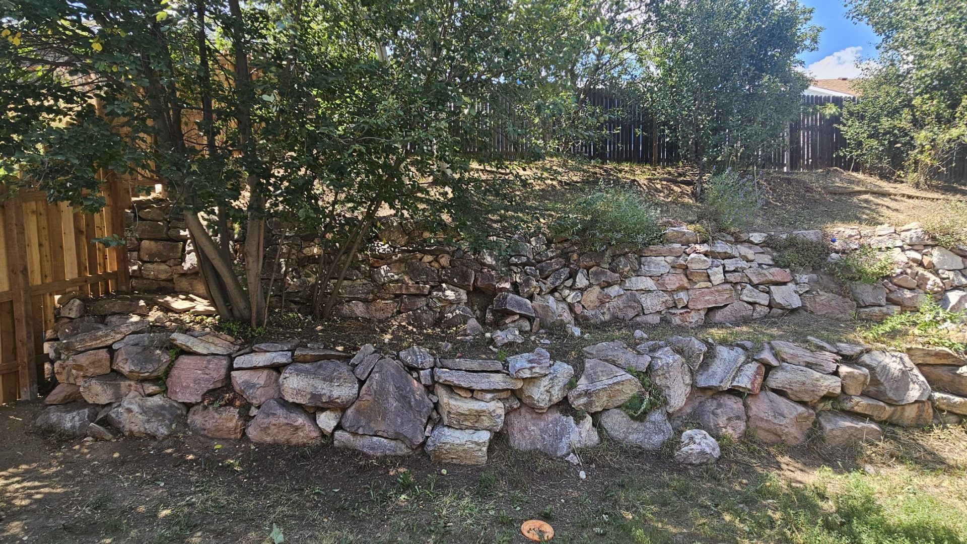 Yard_Cleanup_After_4