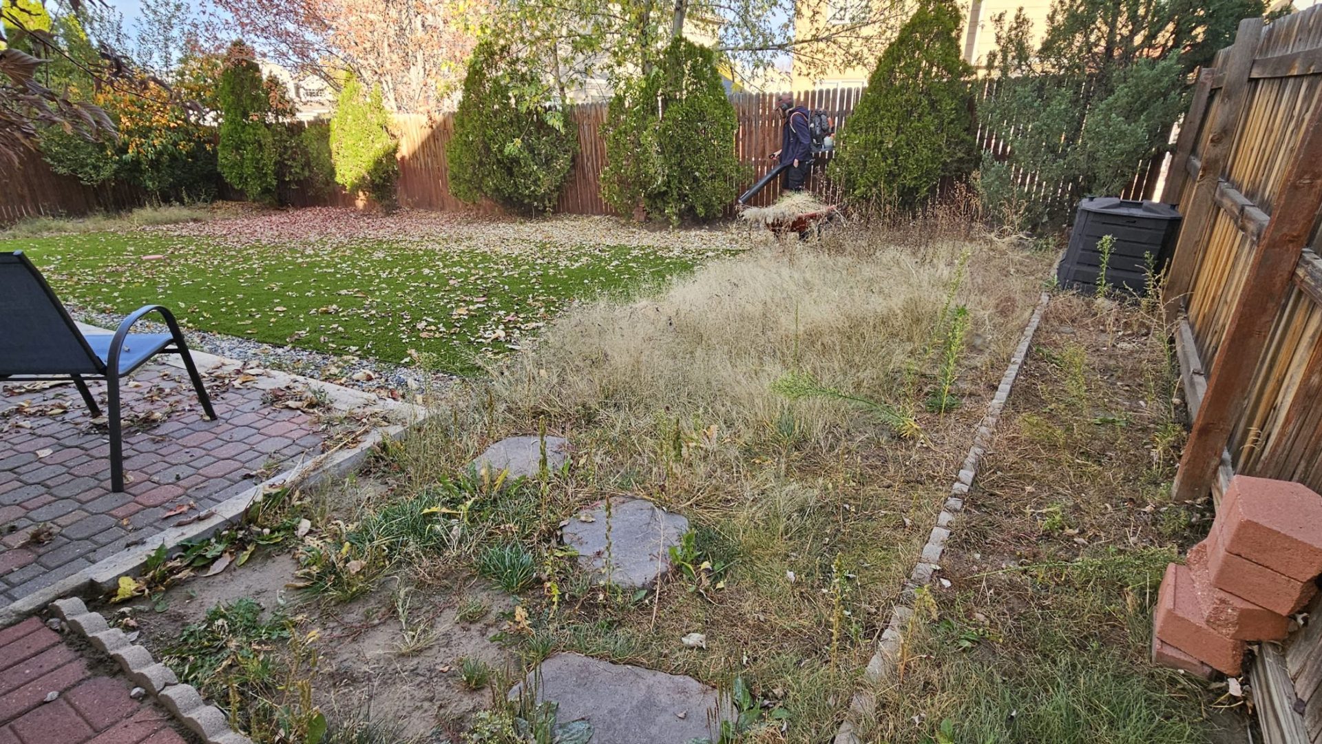 Yard_Cleanup_Before_1